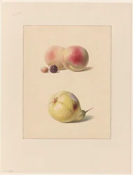 Pêche, mûre et noisette et une poire