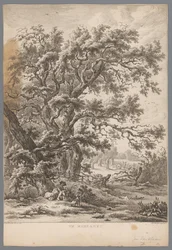 Paysage avec un homme et un chien sous un arbre à Midlaren (Negen gezichten in Drenthe)
