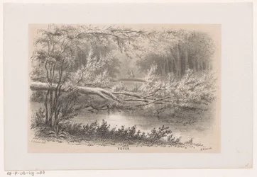 Arbre renversé, après la tempête du 28 mai 1860