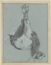 Chèvre mourante