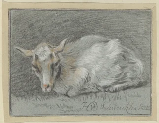 Chèvre couchée