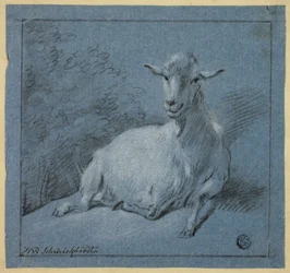 Chèvre