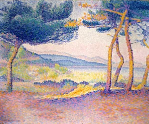 Pins le long du rivage