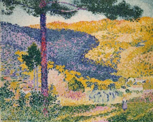 Vallée avec sapin (Ombre sur la montagne)