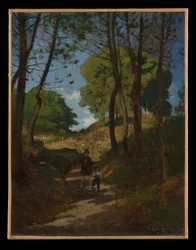 Sapins aux Trembleaux, près de Marlotte