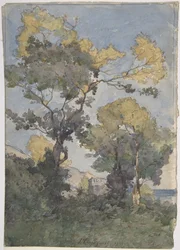 Paysage