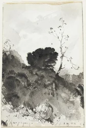 Paysage
