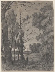 Paysage boisé au bord d
