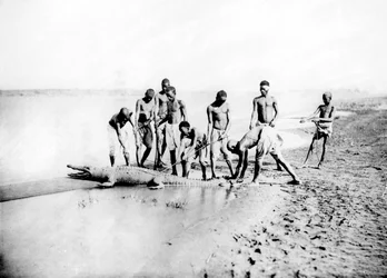 Chasse au crocodile, Nubie, Égypte
