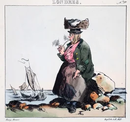 Nymphe de la Camise, illustration de 