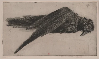 Le Grand Corbeau Pendu,