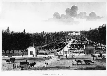 Vue du jardin du roi : le jardin des plantes à Paris - gravure par Courvoisier