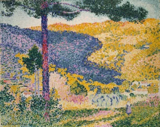 Vallée avec ombre de sapin sur la montagne