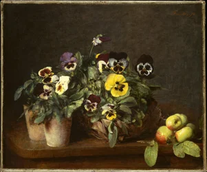 Nature morte aux pensées