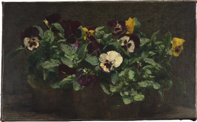 Nature morte aux pensées