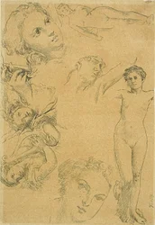 Feuille d