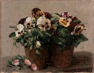 Nature morte : Pensées et marguerites