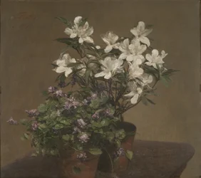 Violettes et azalées