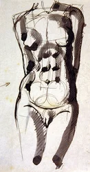 Torse féminin