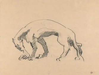 Lionne de profil