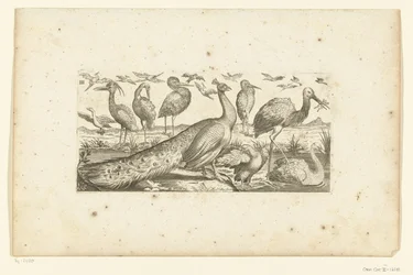 Dix-neuf oiseaux