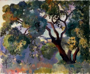 Paysage à Saint-Tropez, 1905
