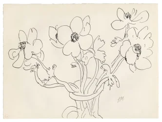 Anémones dans un vase