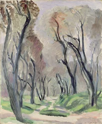 Avenue des oliviers