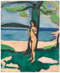 Nu au bord de la mer