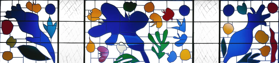 Les coquelicots sauvages