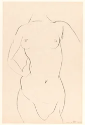Torse