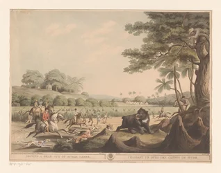 Chasse à l