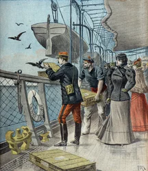 Le capitaine Reynaud expérimente les pigeons voyageurs à bord du paquebot La Bretagne