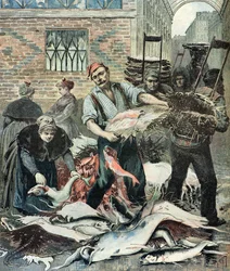 Marché aux poissons à Paris