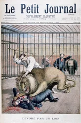 Attaque de lion, 1895