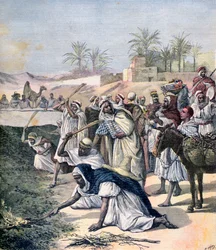 La peste des sauterelles, Algérie
