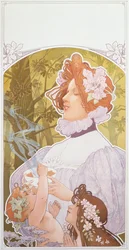 Cacao
