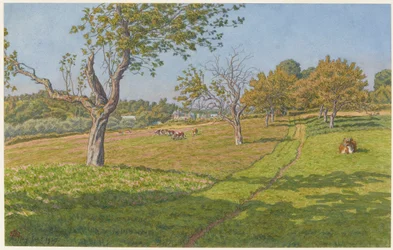 Champs à Auffay
