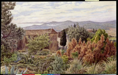 Paysage. Dessin de Henri Rivière (1864-1951)