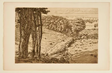 [Le Port de Douarnenez]