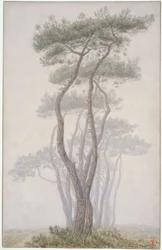 Loguivy, arbres
