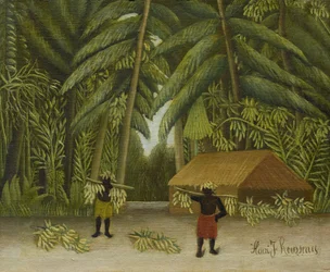 Récolte de bananes, 1907-10