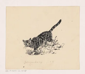 Chat
