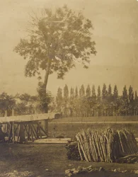[Paysage avec des balles de branches d