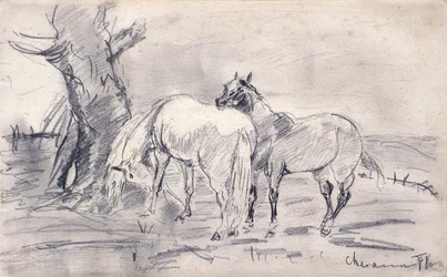 Chevaux
