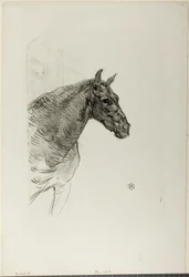 Philibert le poney