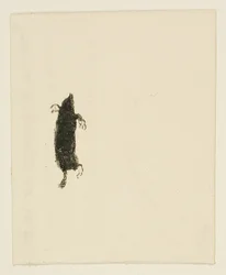 Cul-de-lampe de Au Pied du Sinaï