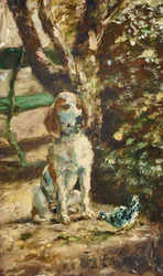 Flèche, le chien de l