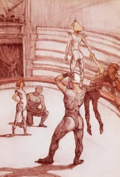 Acrobates