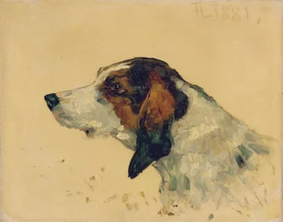 Chien de chasse, 1881